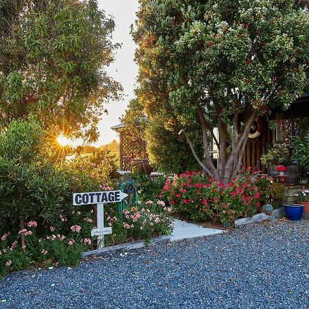 Barnacle Bills Villa Kaikoura Bagian luar foto